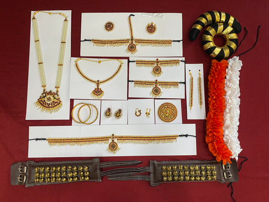 Bharatanatyam kuchipudi set with flower bun and Ghungroo
